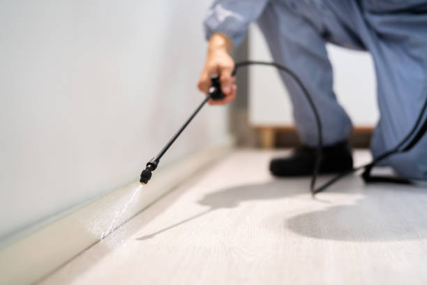 Licensed Cockroach Control service in Richmond, MI - Nex Pest Control