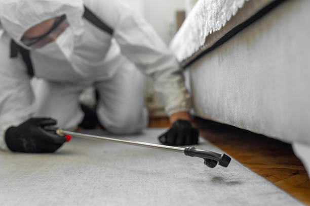 Professional Cockroach Control technician working in Richmond, MI