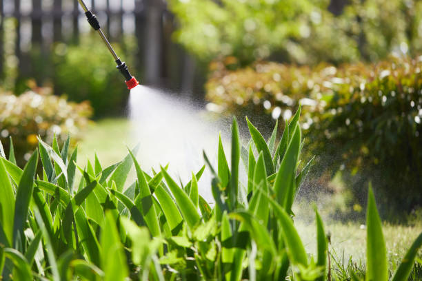 24/7 Emergency Cockroach Control experts in Richmond, MI