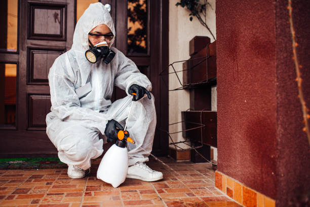 Reliable Cockroach Control contractor in Richmond, MI by Nex Pest Control