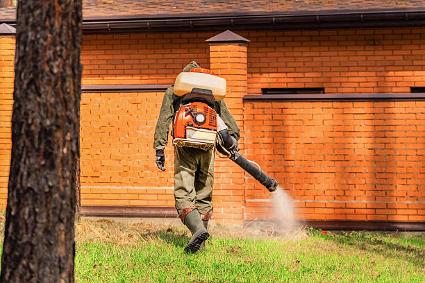 Top rated local Cockroach Control specialists in Richmond, MI